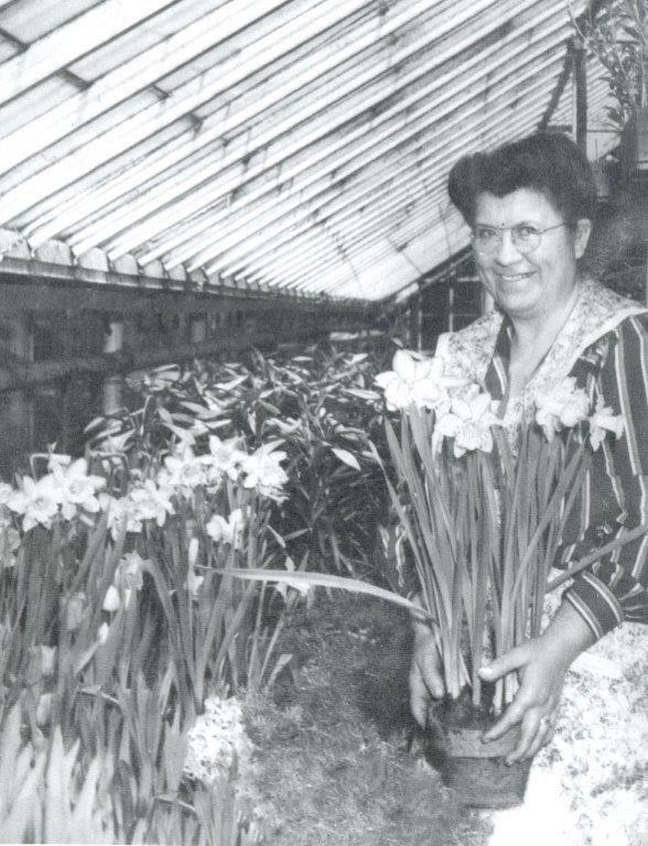 Petersen's Flowers